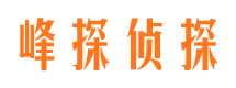 武鸣寻人公司